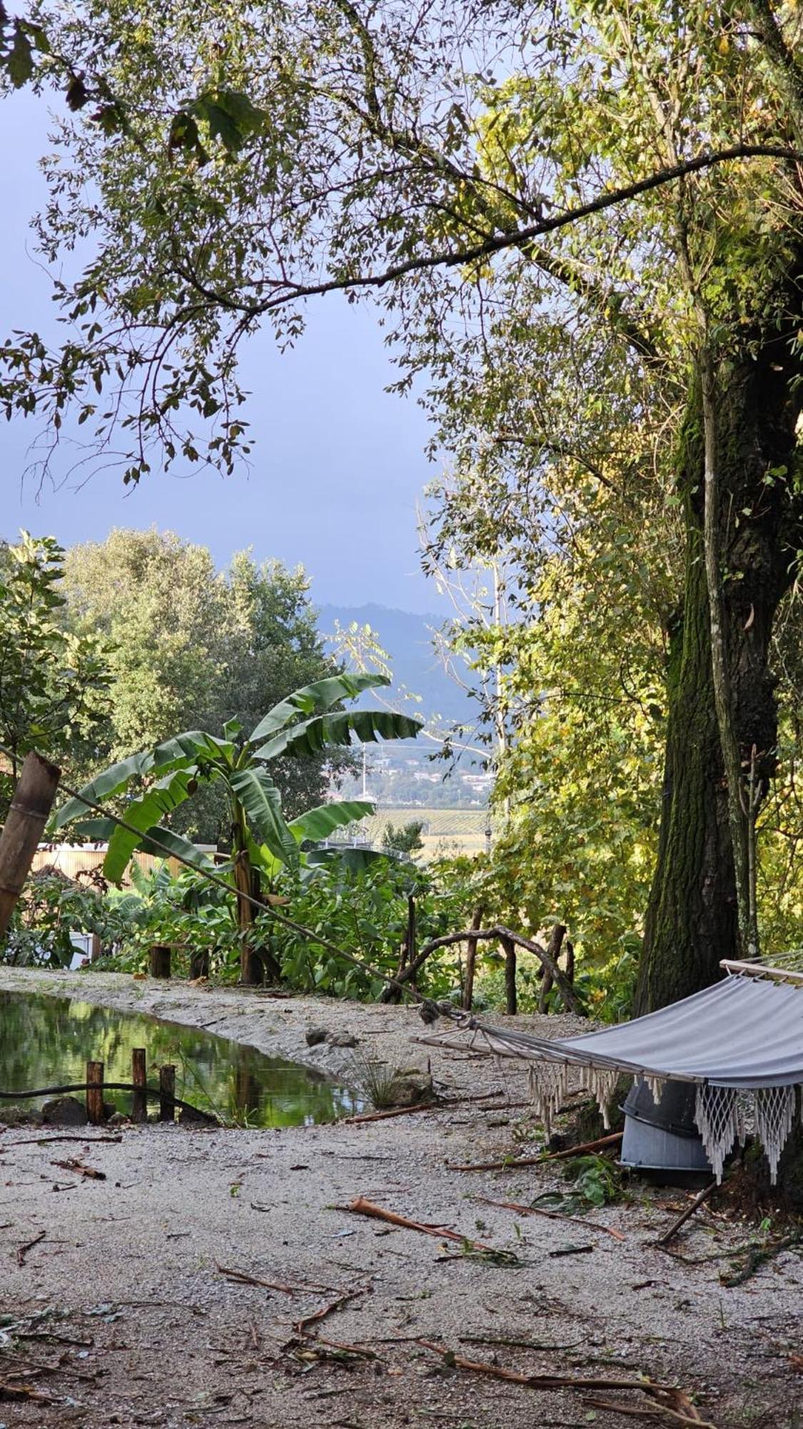 Hotel Quinta Miminel Rabuide Zewnętrze zdjęcie